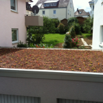Dachbegrünung